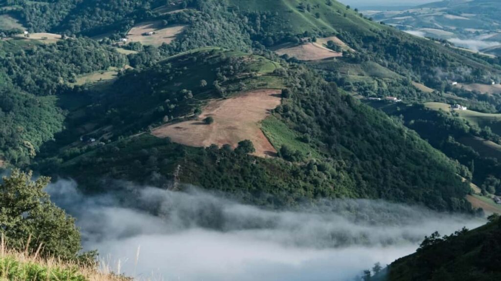 2025 Preços Publicitários do Instagram na Coreia do Sul para Moçambique