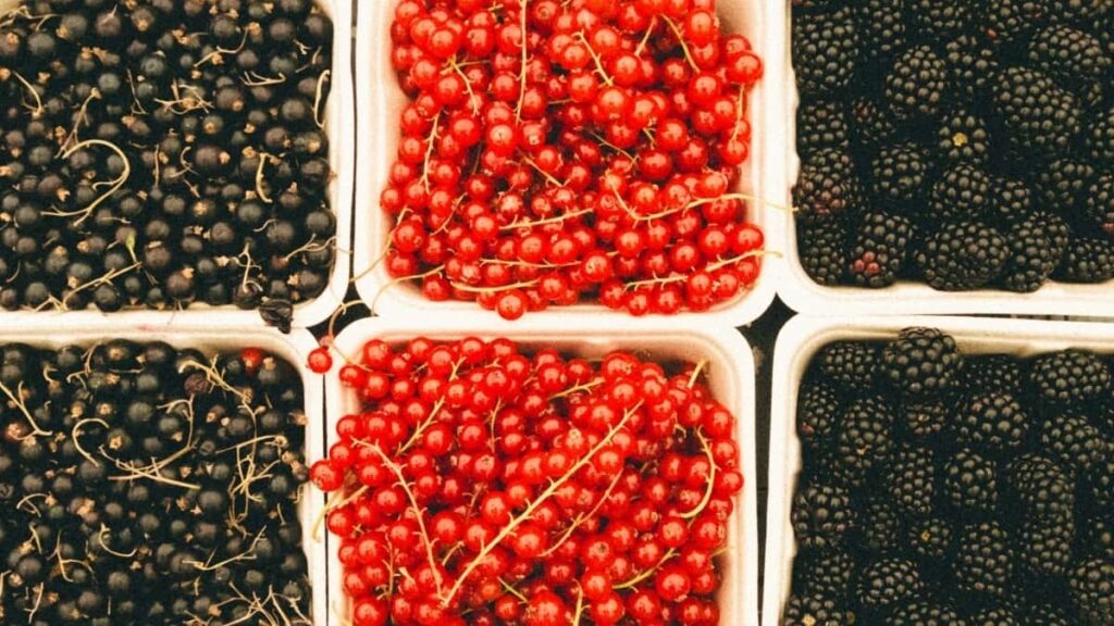 Tabela de Preços Publicitários Pinterest Reino Unido 2025