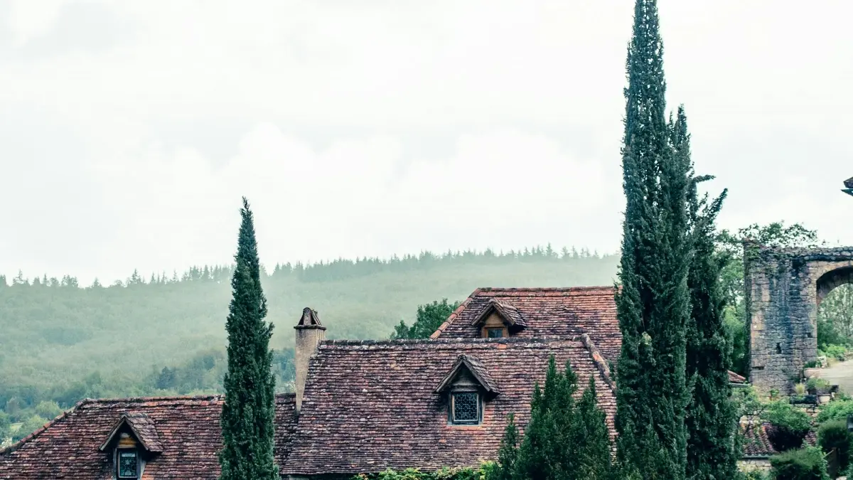 Como encontrar criadores estonianos no Instagram para testar novos produtos