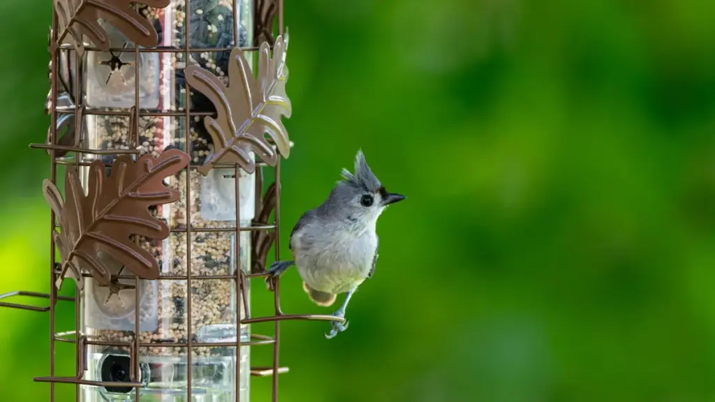 Guia prático para criadores em Moçambique: como abordar marcas dos EAU no Xiaohongshu, montar seeding autêntico e usar CTAs que convertam.