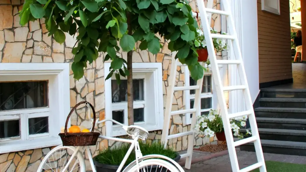 Guia prático para marcas em Moçambique encontrarem creators algérinos no Facebook, usar ferramentas da Meta e transformar conteúdo orgânico em anúncios pagos.