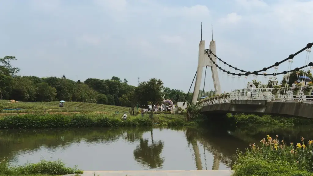 Guia prático para criadores em Moçambique sobre como chegar a marcas quenianas via KakaoTalk, estratégias de monetização, exemplos e ferramentas locais.