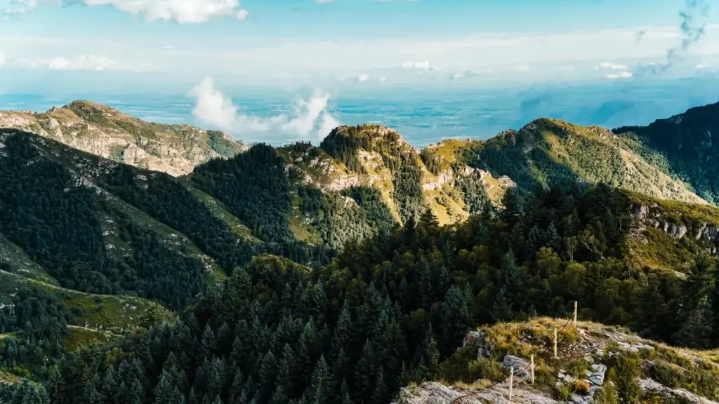 Guia prático para criadores em Moçambique que queiram achar e abordar marcas quenianas no Etsy para colaborações em tendências musicais — táticas, ferramentas e riscos.