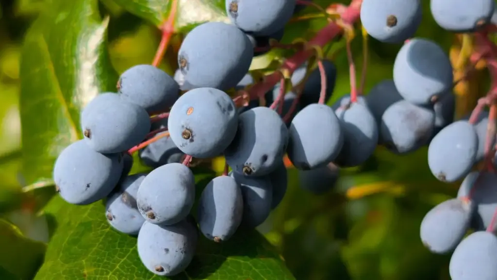 Guia prático para criadores em Moçambique: como encontrar, contactar e transformar marcas da Letónia em parcerias no Pinterest — e criar conteúdo de follow-up que os fãs vão partilhar.