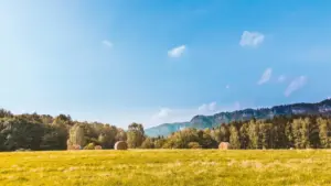 Guia prático pt-MZ para criadores em Moçambique que querem organizar giveaways de chaves de jogos com marcas ucranianas via Zalo — contactos, normas, riscos e táticas que funcionam em 2025.