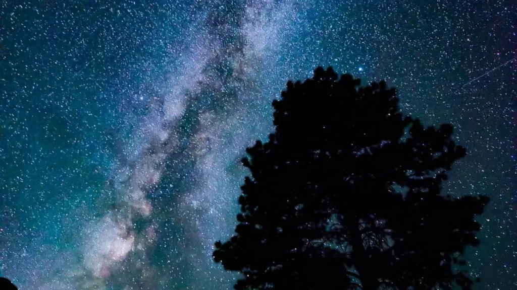 Guia prático para criadores em Moçambique que querem contactar marcas alemãs no TikTok para organizar demos ao vivo — táticas, exemplos reais e checklist.