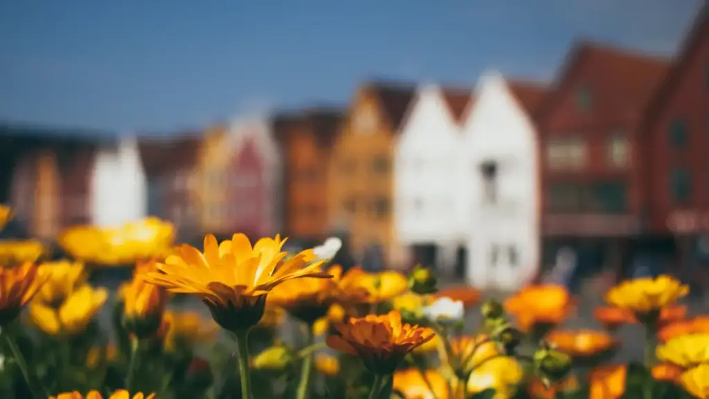 Guia prático para criadores em Moçambique que querem alcançar marcas paquistanesas no Rumble usando ferramentas patrocinadas, com táticas, exemplos e recursos úteis.