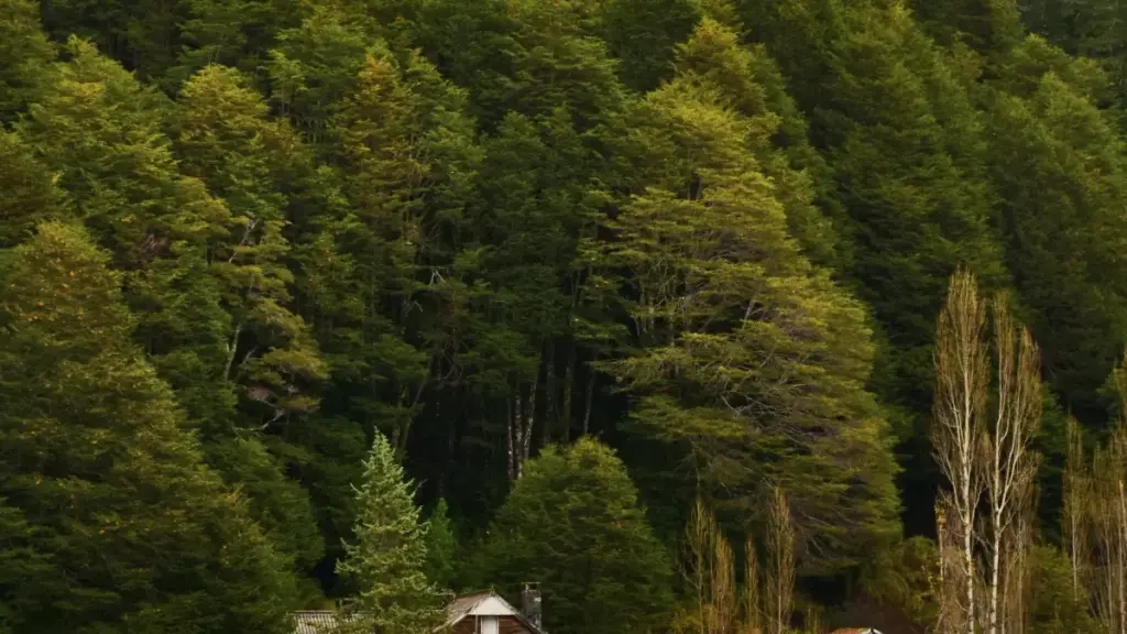 Guia prático para anunciantes em Moçambique sobre como identificar criadores do Sri Lanka no Telegram e usá‑los via streamers para gerar instalações.