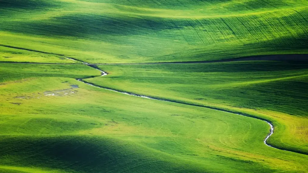 Guia prático para criadores em Moçambique alcançarem marcas do Cazaquistão na Amazon e ganhar nova audiência internacional.