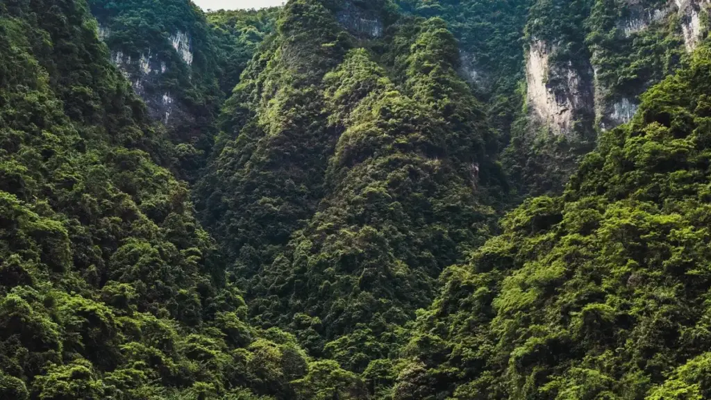 Guia prático para criadores em Moçambique: como abordar marcas da Malásia ligadas a conteúdos na Netflix e transformar parcerias em receita real.