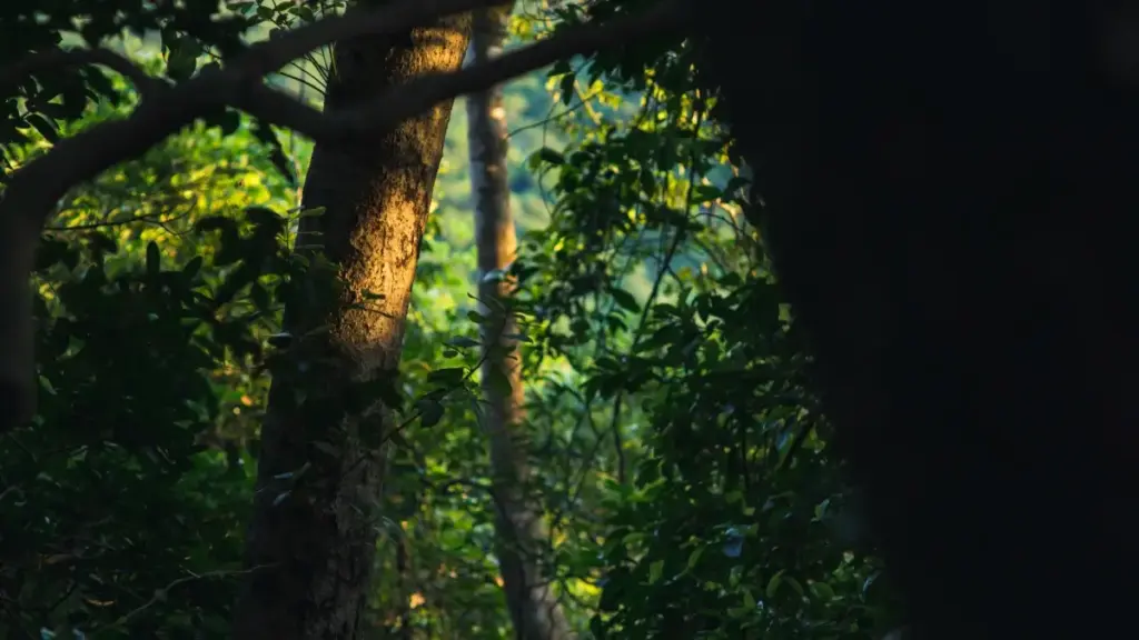 Guia prático para marcas em Moçambique encontrarem criadores Brazil Josh e lançar promoções de música com alcance real e ROI mensurável.