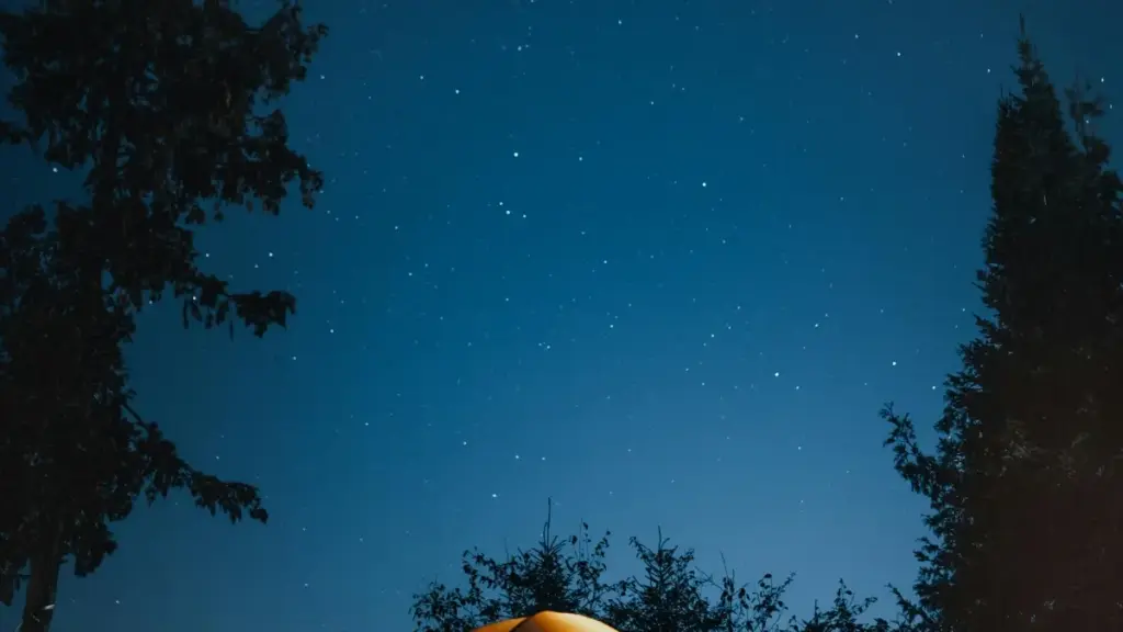 Guia prático para anunciantes em Moçambique: como identificar, avaliar e contratar criadores bolivianos no OnlyFans para conteúdo behind‑the‑scenes, com riscos, tácticas e ferramentas locais.