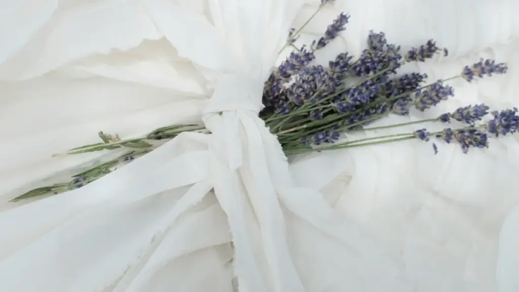 Guia prático para creators em Moçambique: passos, abordagem cultural e táticas reais para alcançar marcas russas no Moj e criar vídeos curtos patrocinados.