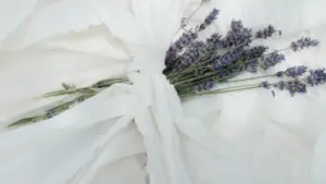 Guia prático para creators em Moçambique: passos, abordagem cultural e táticas reais para alcançar marcas russas no Moj e criar vídeos curtos patrocinados.