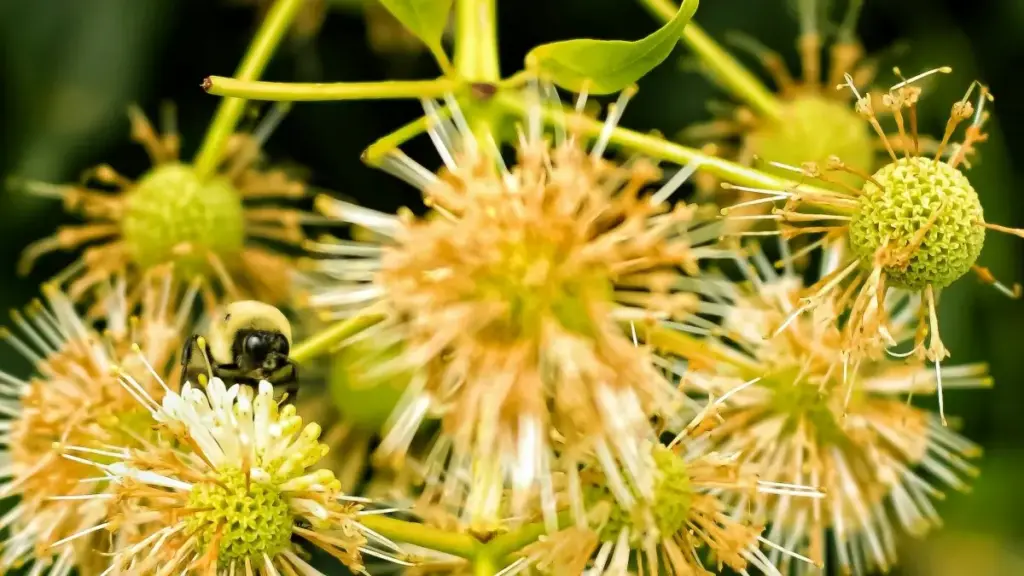 Guia prático para anunciantes em Moçambique sobre como encontrar e contratar criadores ligados ao Taobao na Lituânia para campanhas sazonais e maximizar vendas.