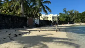 Guia prático para criadores em Moçambique: como identificar, abordar e entrar em programas de seeding micro‑creator com marcas do Luxemburgo no Pinterest.