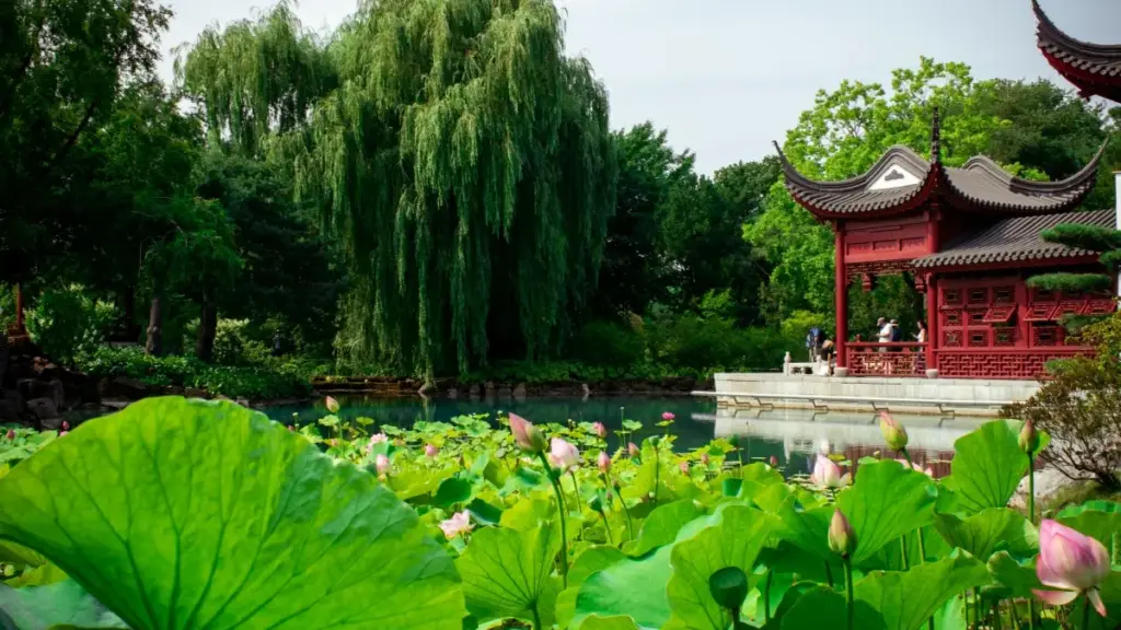 Guia prático para anunciantes em Moçambique: tácticas locais e ferramentas para encontrar e validar criadores do Azerbaijão no TikTok e expandir a tua rede de influencers.