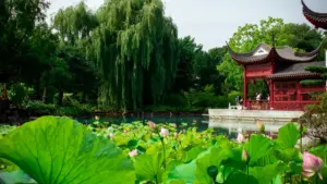 Guia prático para anunciantes em Moçambique: tácticas locais e ferramentas para encontrar e validar criadores do Azerbaijão no TikTok e expandir a tua rede de influencers.