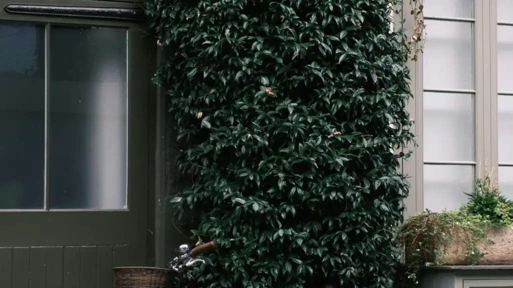 Guia prático para criadores em Moçambique: como abordar marcas D2C da Índia no Clubhouse, criar CTAs que convertem e montar uma "content engine" vendável.