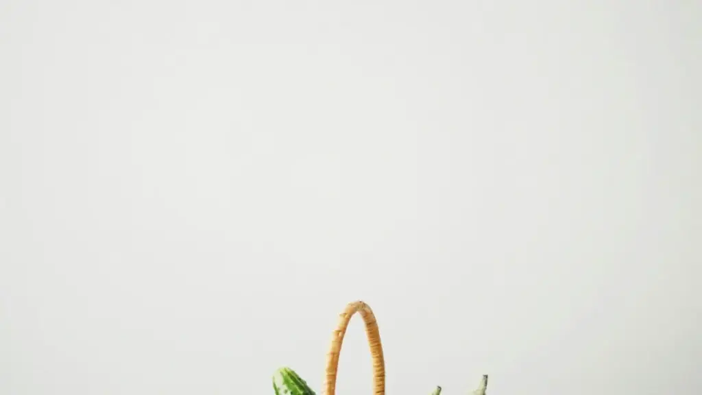 Guia prático para marcas em Moçambique que querem encontrar criadores WeChat na Eslovénia e fazer product seeding com beauty bloggers — tácticas, plataformas e riscos.