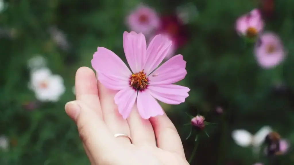 Guia prático para encontrar creators de WeChat na Estónia e vender linhas de skincare com conteúdo credível, segmentação fina e menos desperdício.