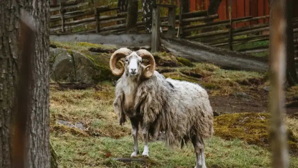 Como achar criadores da República Dominicana no Chingari para lançar beleza nova com buzz real, sem cair em publis vazias.